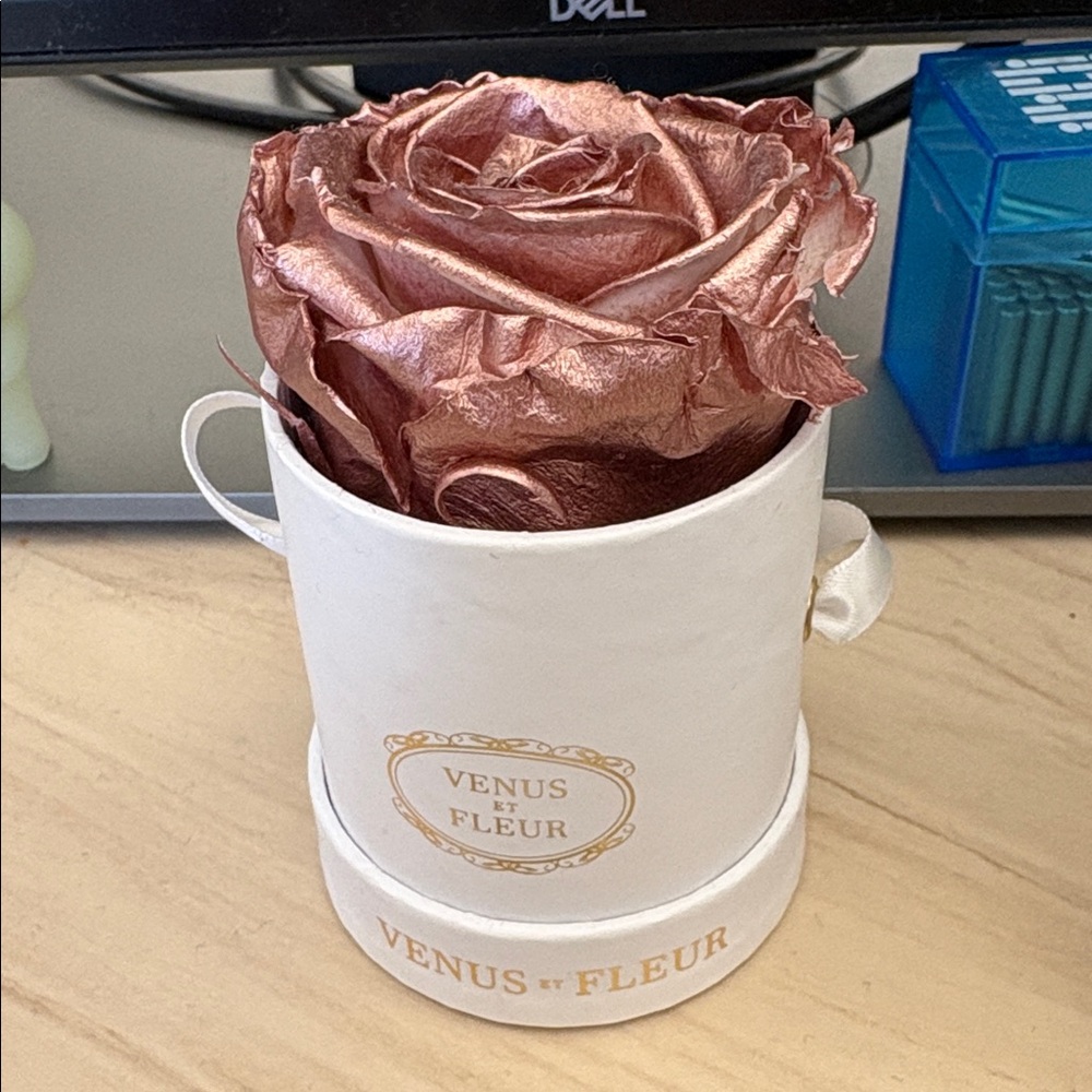 Venus Et Fleur Single Rose Metallic Rose Gold